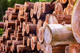 セルロース変性品（CMC・HEC・HPMC）